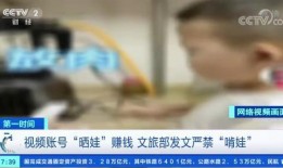 解说娃娃被爆料视频大全,揭秘网络红人的真实生活