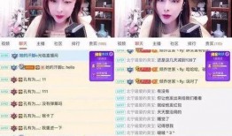 解说娃娃被爆料视频大全,揭秘网络红人的真实生活