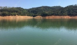 三坑水库爆料最新消息新闻,揭秘水库周边生态保护与旅游发展新动态