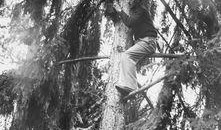 PAPARAZZI电影在线观看,揭秘名人追踪者的疯狂世界