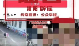 红豆木森最新爆料,揭秘娱乐圈背后的惊人真相！