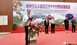 赣州市信丰县新闻爆料网,聚焦本土热点，传递民生声音