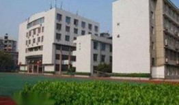 武汉艺术学院最新事件爆料,揭秘风波背后的真相