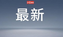 红豆木森最新爆料,揭秘娱乐圈背后的惊人真相！
