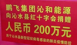 鹏飞集团爆料最新消息