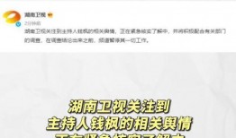 娱乐吃瓜手册
