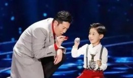 蔡国庆春晚爆料视频大全,揭秘精彩幕后故事与独家花絮