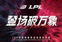 圈内爆料完整版,揭秘完整版事件内幕，真相大白！