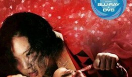 感官新世界在线观看