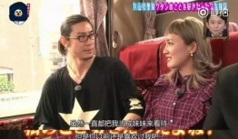 日本爆料娱乐大佬,爆料背后的真相与内幕