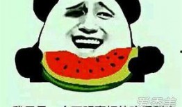 娱乐是吃瓜群众,揭秘“吃瓜群众”背后的娱乐狂欢世界