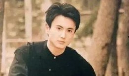 爆料沈腾视频下载安装手机版,揭秘爆笑喜剧背后的幕后故事