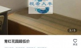 大丰房产爆料最新消息今天,今日热点聚焦，揭秘房产市场新动态！”