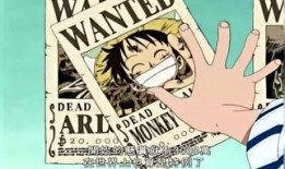 路飞悬赏爆料视频大全集,揭秘海贼王世界中的悬赏风云