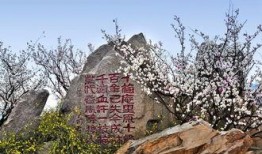 十梅庵今日爆料最新消息,今日最新爆料震撼来袭！