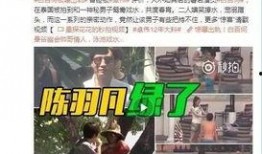 海波爆料林朝清视频,揭秘背后惊人真相