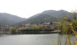 十梅庵今日爆料最新消息,今日最新爆料震撼来袭！