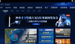 台风十三子爆料视频播放,揭秘风暴背后的惊人真相