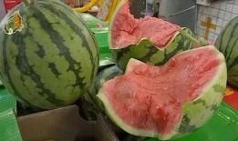 娱乐吃瓜手册