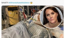 外网爆料王菲视频,幕后真相引人猜测