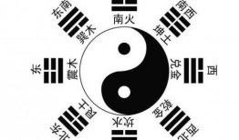 社会八卦最新爆料视频大全,揭秘明星私生活幕后真相