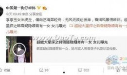 卓伟十点爆料视频大全下载,揭秘娱乐圈幕后真相