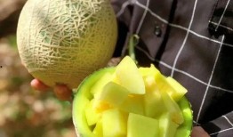 娱乐吃瓜的瓜哪里来的,探寻网络热点的背后故事