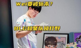 圈内爆料blg,揭秘战队幕后故事与精彩瞬间