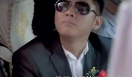 独生子电视剧在线观看,揭秘现代家庭情感纠葛