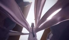 九尾狐皮肤爆料最新视频,华丽变身，神秘力量引期待