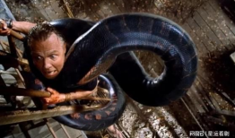 狂蟒之灾爆料视频大全集,惊悚揭秘，全程爆料视频大盘点