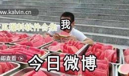 最新吃瓜爆料视频大全集,揭秘娱乐圈幕后真相