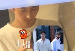 关于王楚然的爆料视频播放,揭秘背后惊人真相