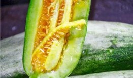 最新热门网红吃瓜,揭秘娱乐圈最新热点事件