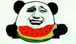 娱乐吃瓜酱的创作背景