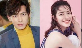 李崽崽前女友爆料视频大全,揭秘情感纠葛背后的真相