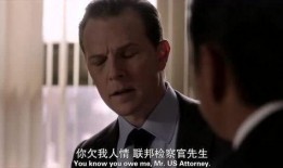 权欲第二在线观看,权力巅峰的暗流涌动