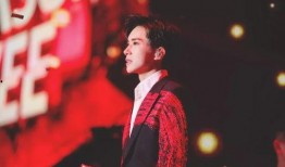 帝师爆料韩国男明星视频,韩国男星私密视频事件引发热议”