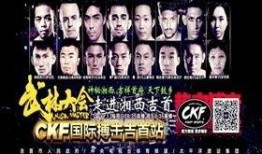 武林大会爆料视频完整版,揭秘完整版爆料视频，高手对决背后的风云涌动